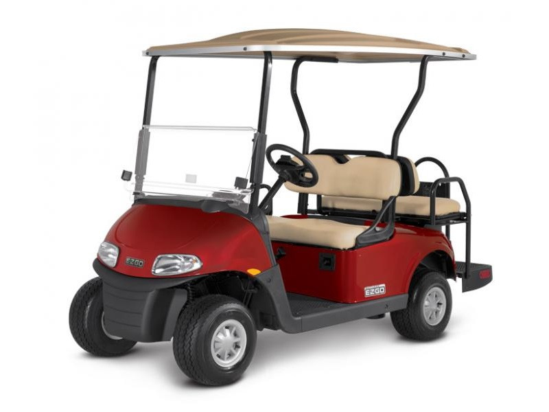 Freedom Series for sale in R&R Golf Carts, Seneca, South Carolina #2