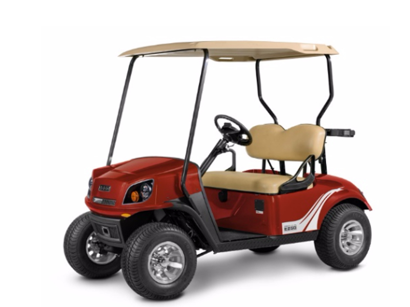 Freedom Series for sale in R&R Golf Carts, Seneca, South Carolina #5